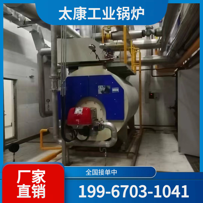 衢州沼气锅炉